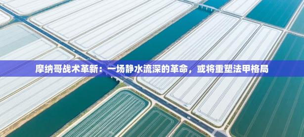 摩纳哥战术革新：一场静水流深的革命，或将重塑法甲格局